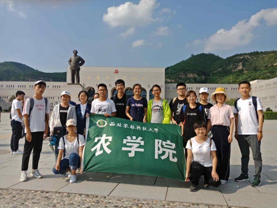小猫钓鱼游戏龙王版有船